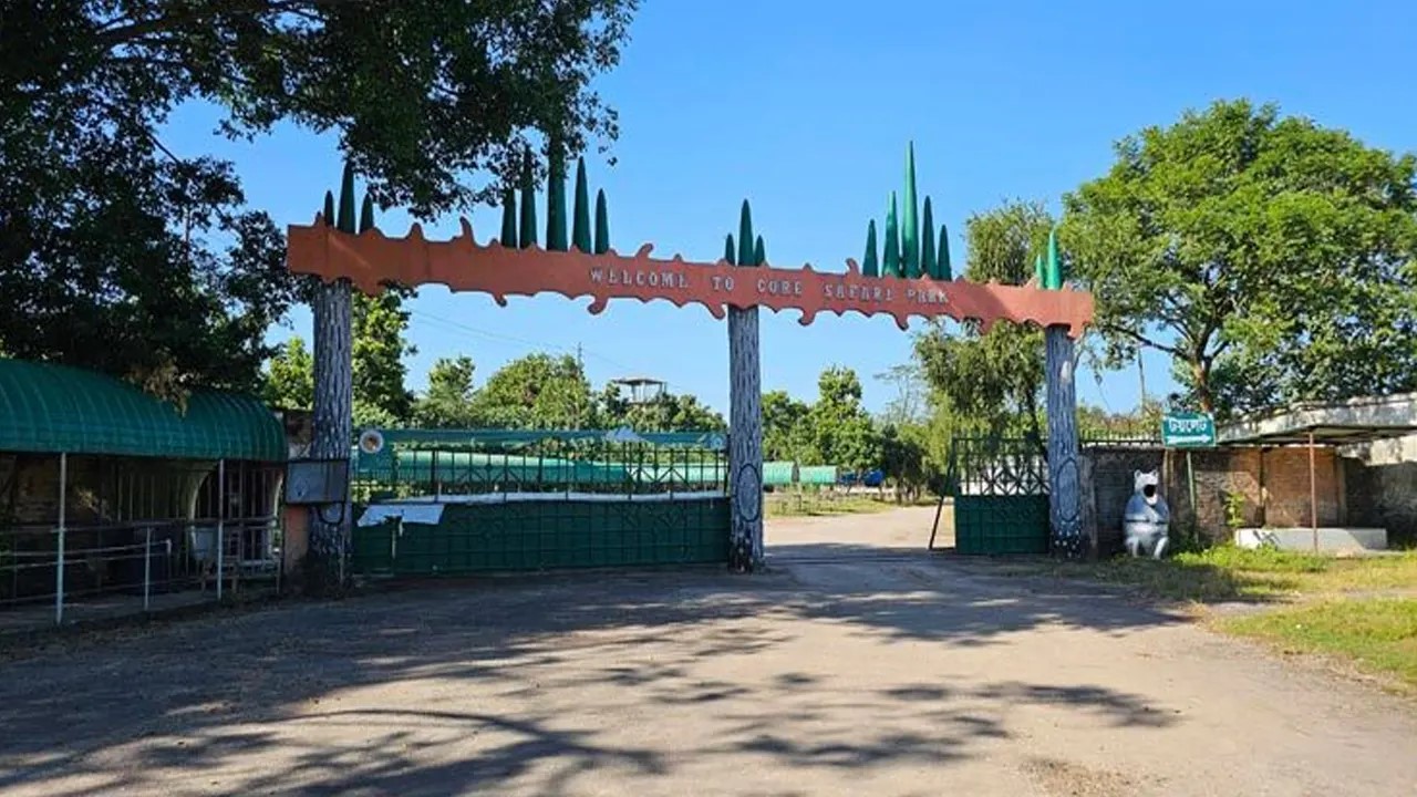 সাফারি পার্কে গভীর রাতে অনুপ্রবেশ, আটক ১১